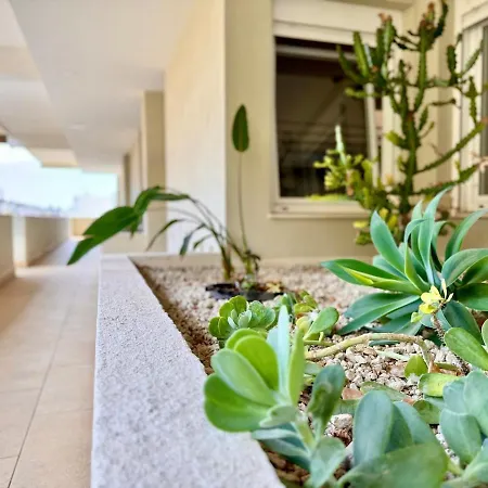 Appartement Beachsuite